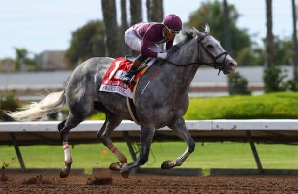 Speed figures: These are last week's fastest stakes winners