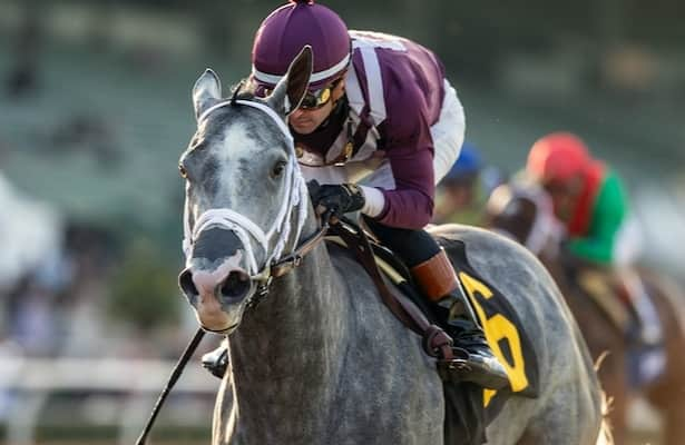 Thursday works: 16 graded-stakes winners are on the tab