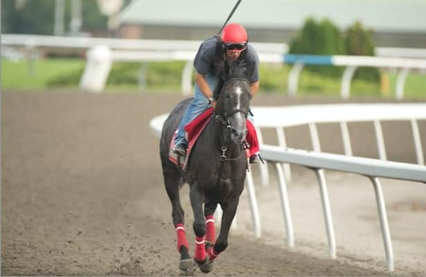 Woodbine: Swift Delivery seeks 1st graded win in Ontario Derby