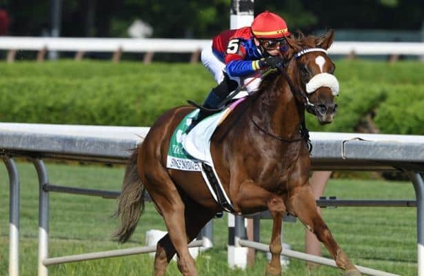 Champion Swiss Skydiver to face 7 rivals in Beholder Mile