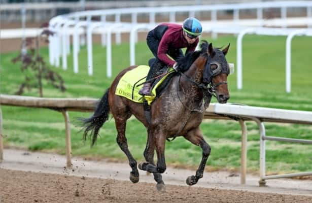 Report: T O Password, 5th in Kentucky Derby, has leg surgery