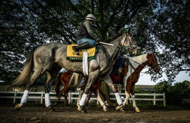 Belmont Stakes 2019: Post positions, picks and more