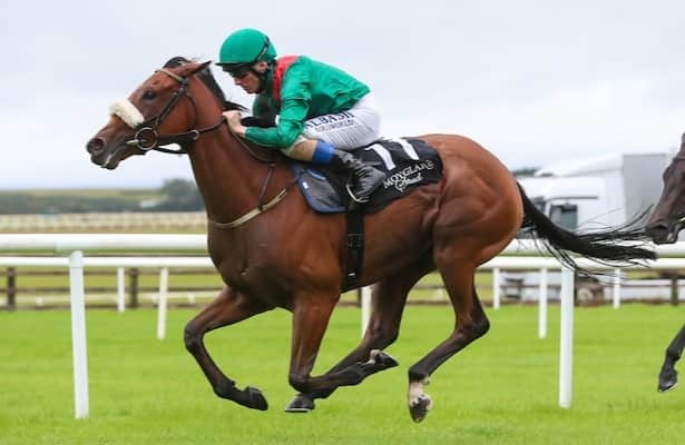 Ascot Tip Tahiyra Can Pass Meditate Again In Coronation