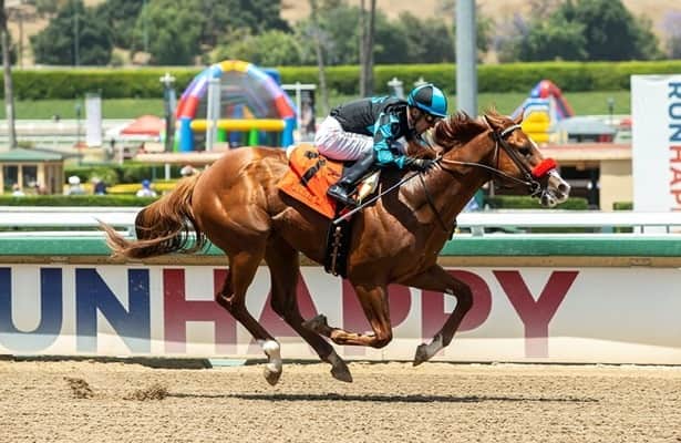 Watch: Tahoma, 1st Justify foal to race in U.S., wins on debut