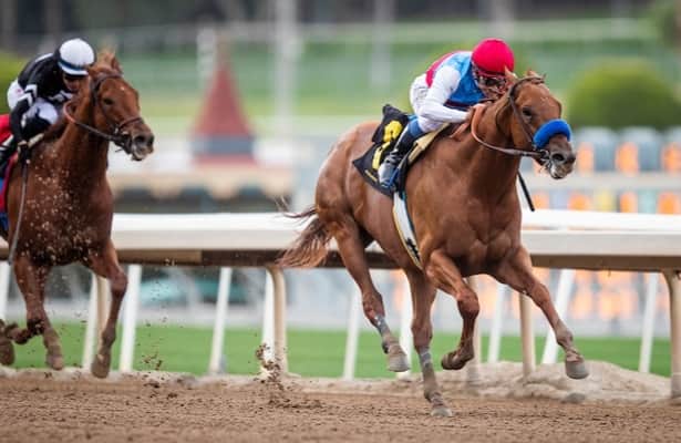 Division Rankings: 2022 Eclipse Award thoughts