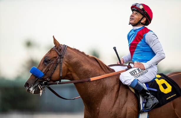 Hall Of Famer Mike Smith Bids For More Parx Magic With Taiba, Adare Manor - Horse  Racing News