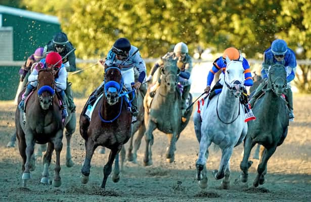 These were the weekend's fastest stakes winners