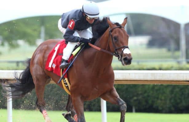 Oaklawn Stakes 2020: Odds and analysis for Saturday's race