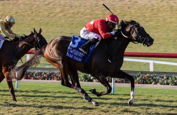 Queen Elizabeth II Challenge: Why they win, why they lose