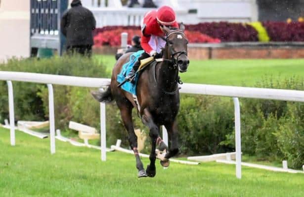 Barn Tour: Amid a downturn, Bauer looks for bright spots