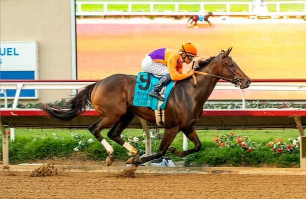 After a year off, Tamara gears up for return Friday at Del Mar