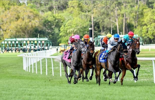 4 stakes showcase shipping stars on Tampa Bay undercard