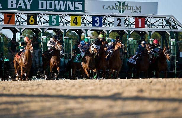 Dini intends to point Dynatail to Florida Oaks
