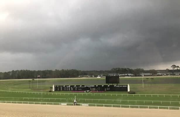 Power failure forces Tampa Bay Downs to cancel 4 races Sunday