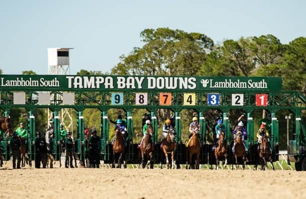 Wednesday wagers: Stellarator can score at a price at Tampa