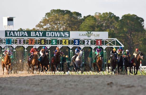 Tampa Bay Downs: Bocachica is Jockey of the Month