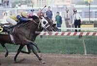 1985 Preakness Stakes. Tank's Prospect alongside Chief's Crown just before the wire.