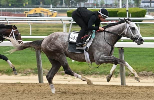 Horse Racing Nation expert picks: Belmont Stakes 2023