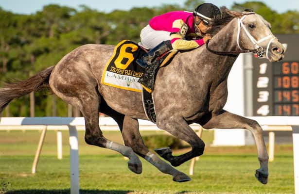 Tapit Trice, 1-2, proves prompt favorite in Tampa Bay Derby