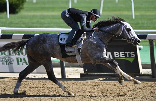 Work tab: Tapit Trice is among 47 graded stakes winners drilling