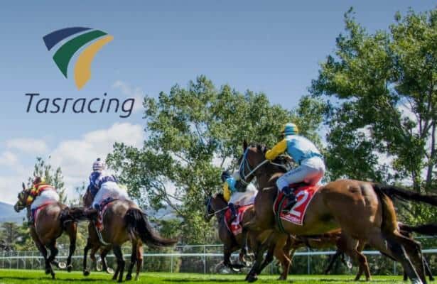 5 Australia stewards are suspended, accused of betting on races