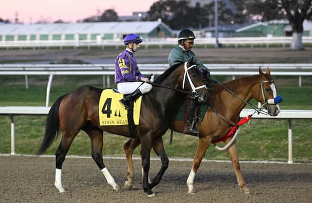 Tawny Port is morning-line favorite; see field of 8 for Ohio Derby
