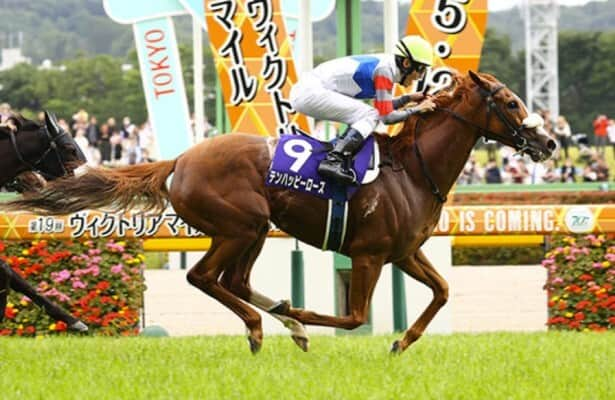 Japan: 207-1 long shot stuns field in Breeders’ Cup qualifier