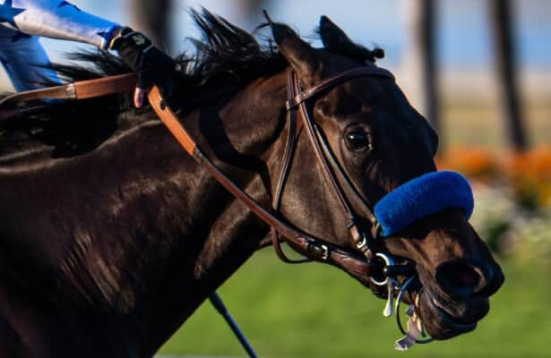 Santa Anita: Tenma is favorite among Baffert’s 3 in Las Virgenes