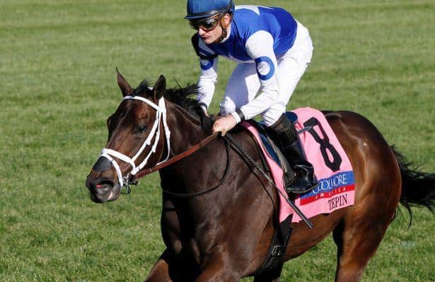 Woodbine Mile 2016: Odds and Analysis