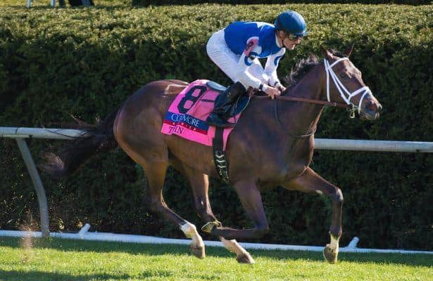 Tepin Takes on Boys Again in Saturday's Woodbine Mile