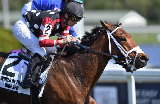 Texas Wedge continues to prove a bargain in Gulfstream's Turf Sprint