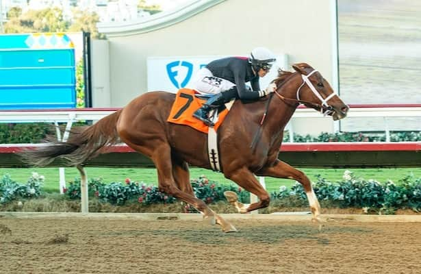 Consider 1 key, 1 long shot for Breeders’ Cup Sprint exotics