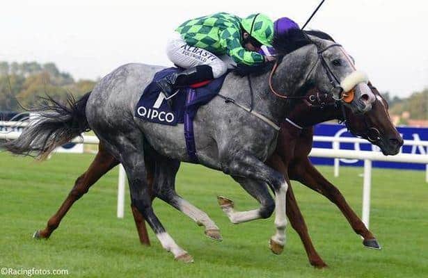 The Grey Gatsby over Australia: Race of the Year?