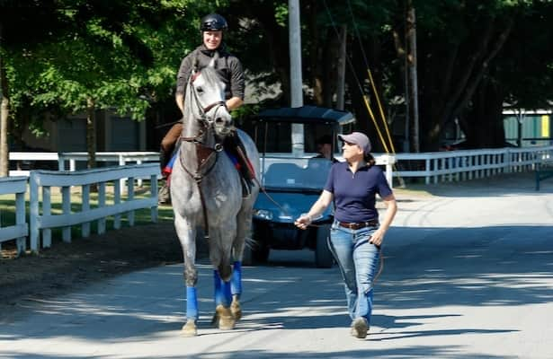 The Grey Wizard could be 1st U.S. horse in Melbourne Cup