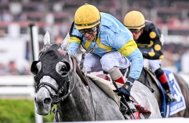 Saratoga: The Grey Wizard wins by head in Belmont Gold Cup