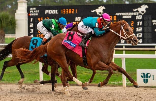 Kentucky Derby works: The Puma returns to the tab