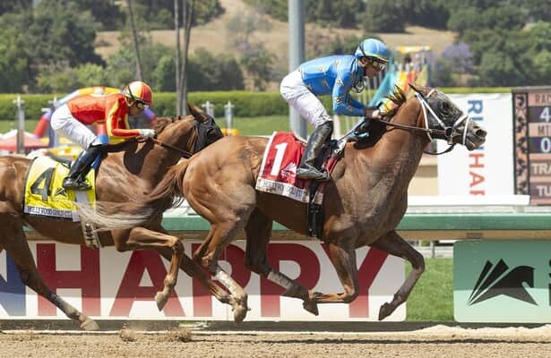 Late Entry There Goes Harvard Wins Hollywood Gold Cup