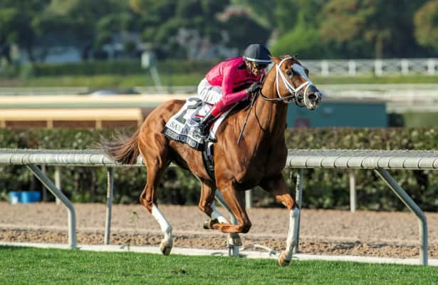 Santa Anita: There Goes Harvard makes the grade in San Marcos