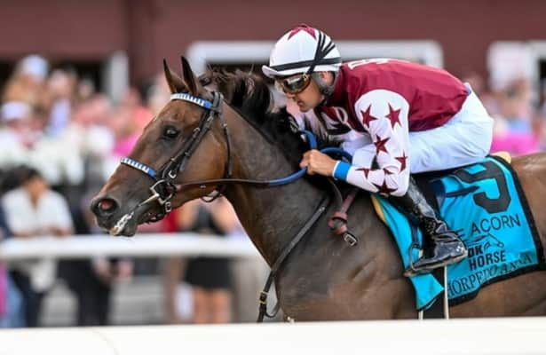 Zipse: Thorpedo Anna faces long odds for horse of the year