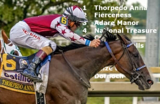 New no. 1 racehorse: Thorpedo Anna replaces Fierceness