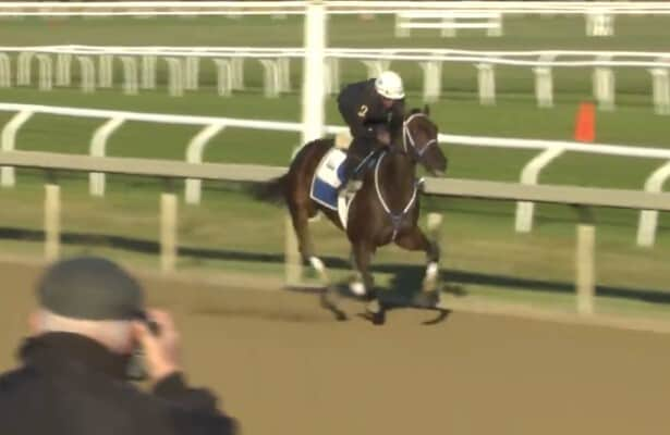 Works + video: Thorpedo Anna is 1 of 56 graded winners on tab