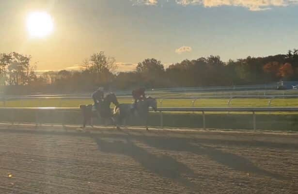 Workouts: 45 Breeders’ Cup shippers, 83 graded winners