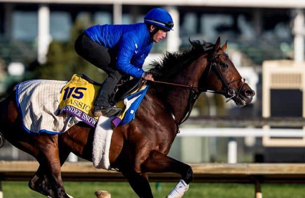 Can a 3-year-old become Breeders' Cup Classic favorite? - Horse Racing  Nation