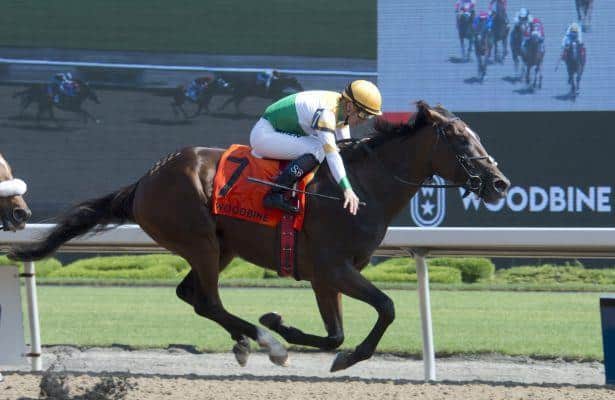 Tiz a Slam shows the way in Woodbine's Dominion Day 
