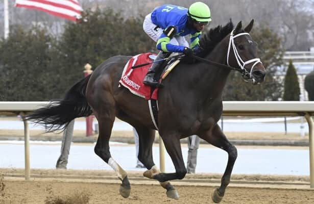 Aqueduct: Tizzy in the Sky defeats small field in Ladies Stakes