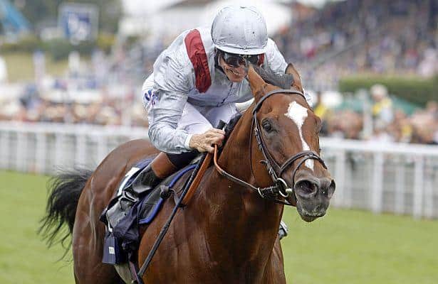 Breeders' Cup European Notes - Oct. 30