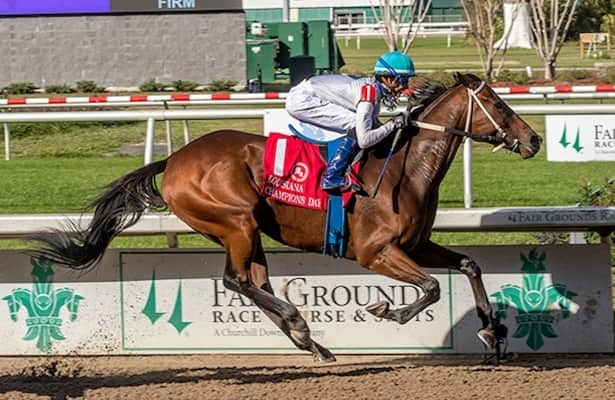 Fair Grounds: Touchuponastar goes for 3rd Champions Day Classic