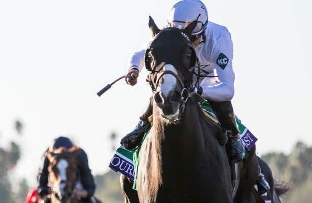 New Vocations receives $40,000 from Breeders’ Cup Pledge fundraiser