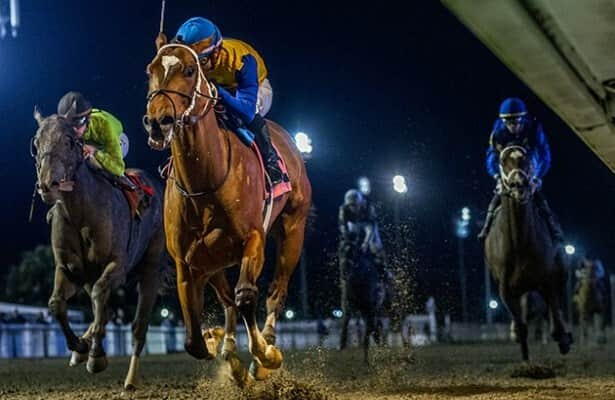 Horses to Watch: Glimpse of past, future success at Fair Grounds