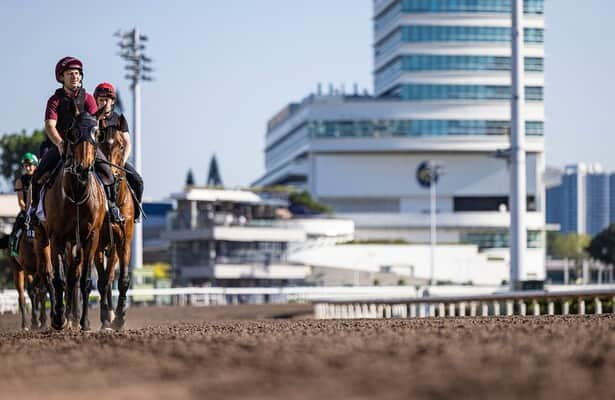 Hong Kong Cup 2024: Romantic Warrior wins six weeks after Cox Plate victory